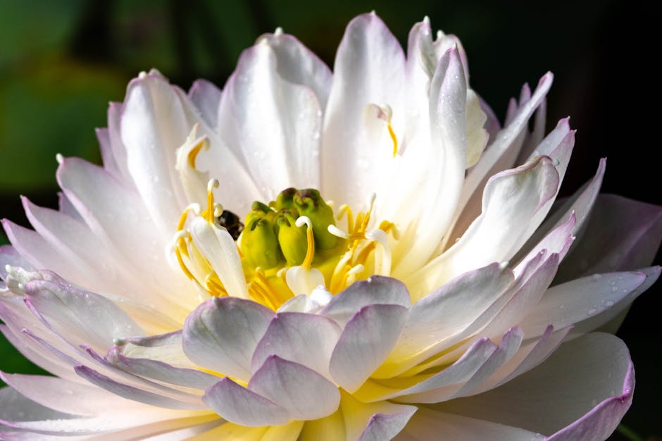 Top 10 Managed WordPress Hosting India Providers For 2026